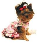 0%200%203%20parisian%20dress_thmbnl.jpg