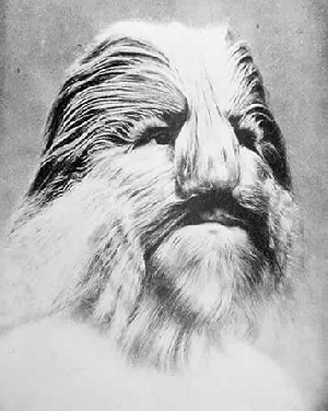 dogman.jpg